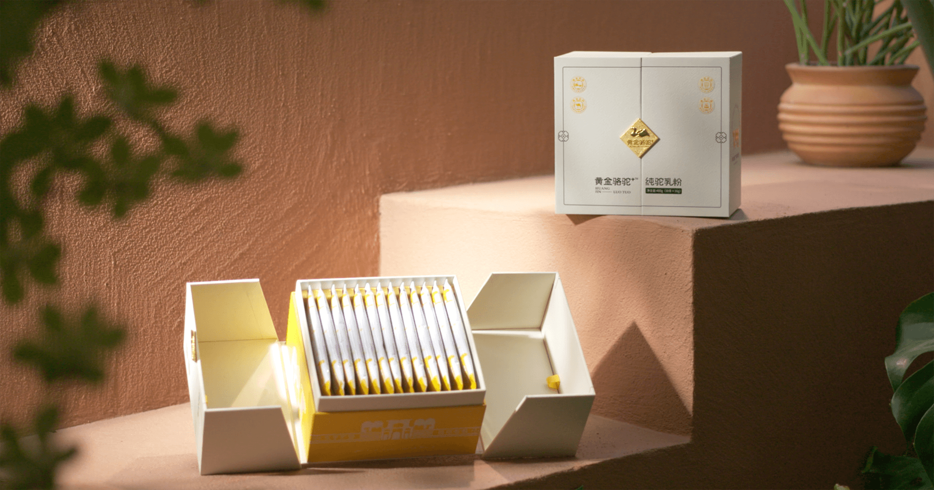 定位小众高端乳粉，尊龙凯时推出驼奶品牌“黄金骆驼+”，角逐乳品新市场！